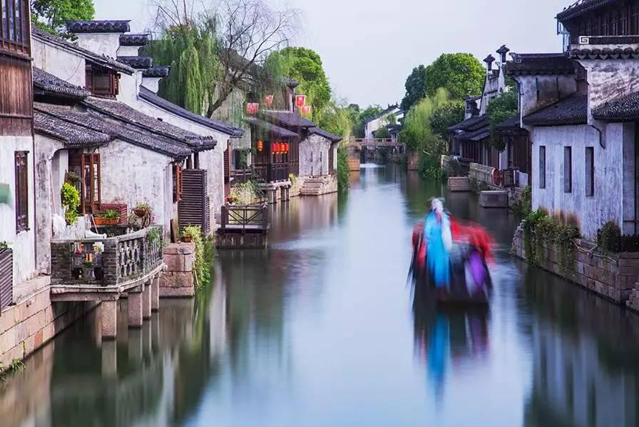 僵尸顶顶乐
